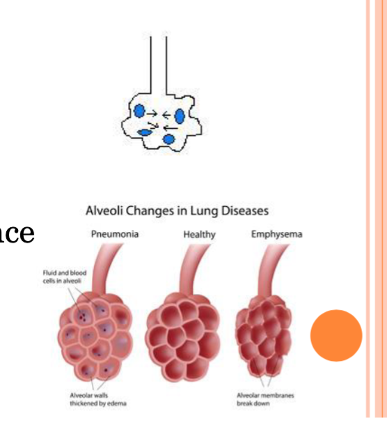 <ul><li><p>Lung Compliance → stretchability of the lung and openness of alveoli</p><ul><li><p>Low Compliance Causes:</p><ul><li><p>scar tissue </p></li><li><p>high surface tension </p></li></ul></li><li><p>High Compliance Causes</p><ul><li><p>emphysema</p></li></ul></li></ul></li></ul><p></p>