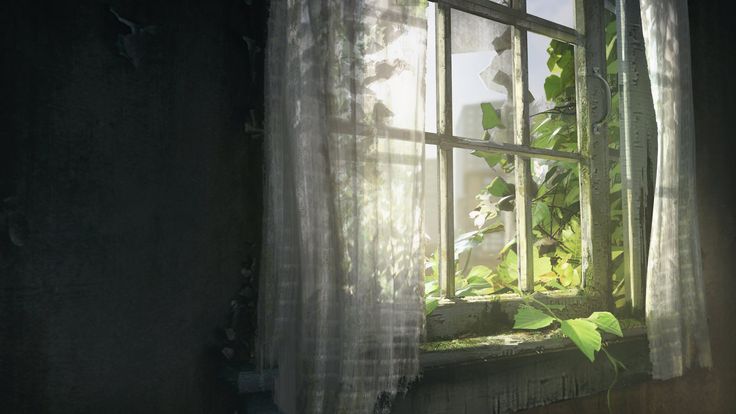 <p>Curtains</p>