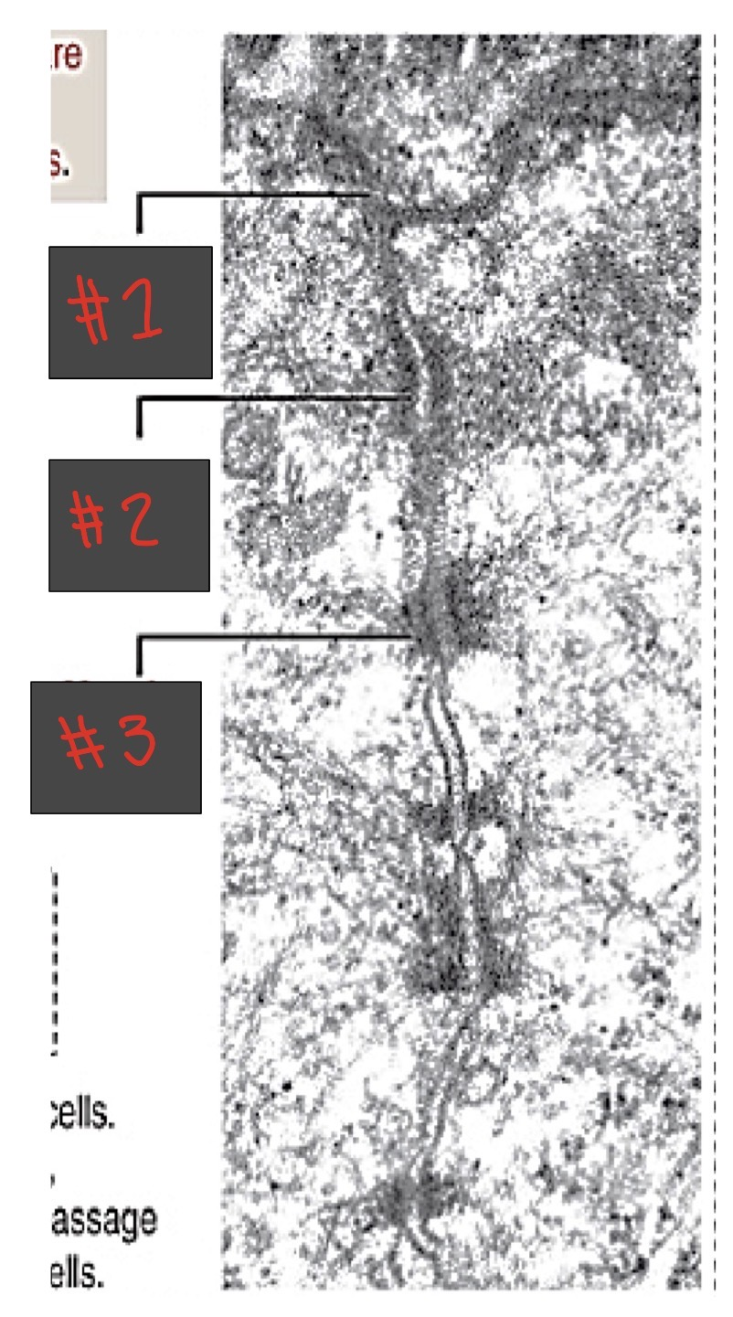 <p>#2</p>