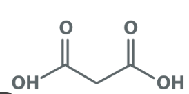 <p>two carboxylic acids next to each other </p>