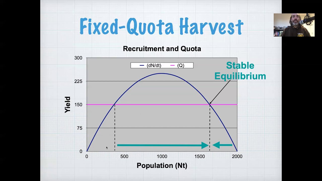 <p>If N is too low, fixed quota drives prey extinct</p><p>If N is high enough, population stabilizes at a size below K</p>
