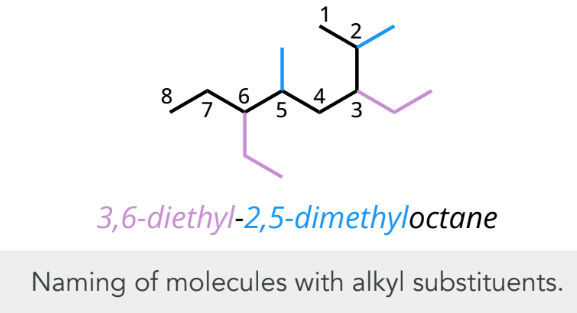 <ul><li><p>count the carbon atoms, use the correct prefix, and add “-yl”</p></li><li><p>multiple substituents: list in alphabetical order</p></li><li><p>multiple of the same substituent: use prefixes “di”, “tri”, “tetra”,”penta”</p></li></ul><p></p>