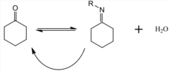 <p>ketone/aldehyde -> imine</p><p>addition of a 1º amine to form an imine (Schiff base)</p><p>(can be reversed with H3O+)</p>