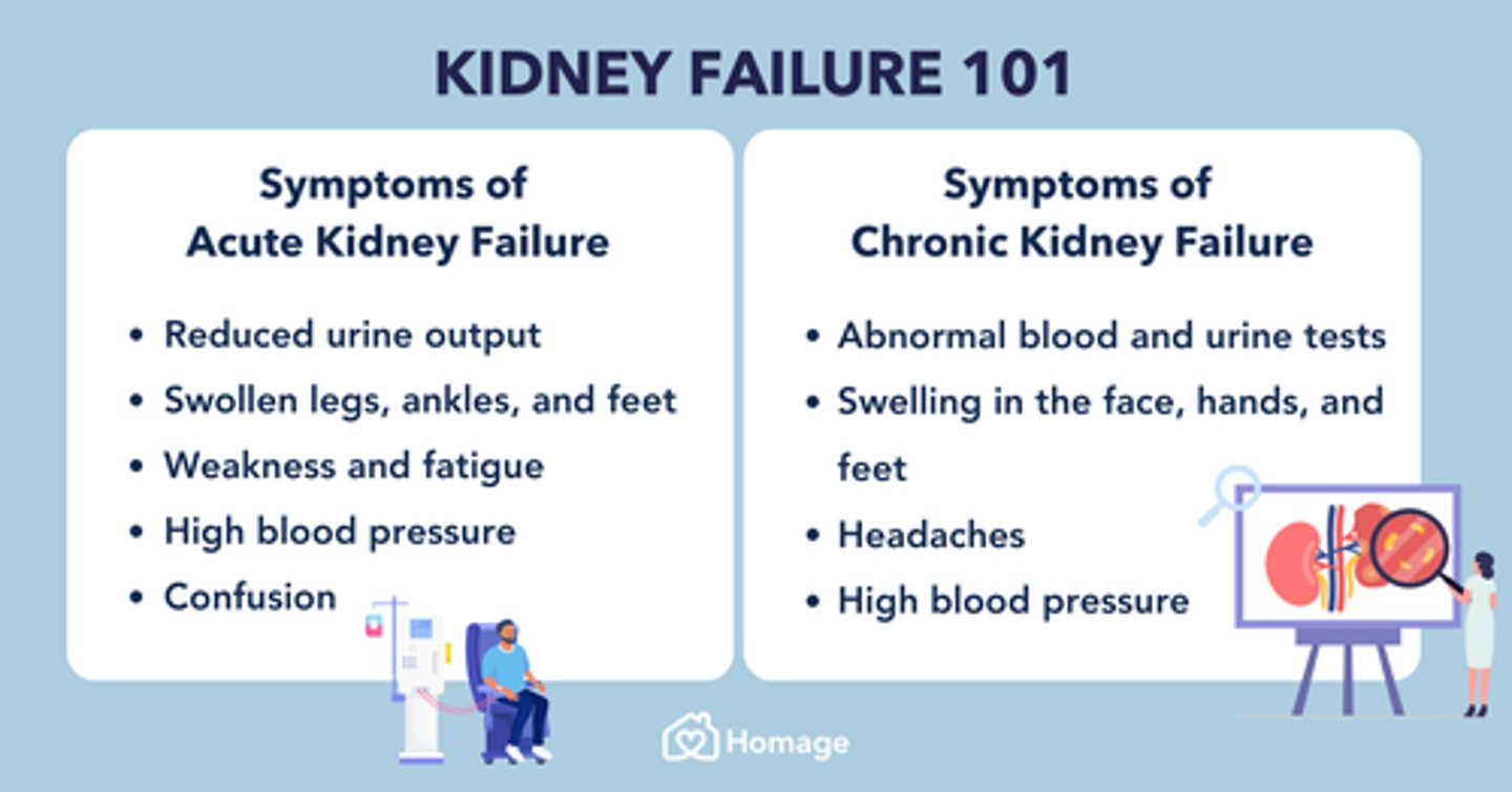 <p>B) Sudden loss of renal function; etiology includes lack of blood flow; clinical manifestations include fluid retention, BP fluctuation, and electrolyte abnormalities.</p>