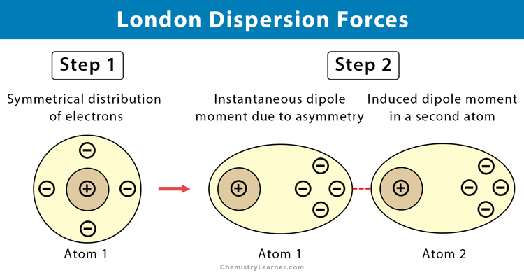<p><span>Because of London Dispersion Forces, which become strong enough to hold atoms together at very low temperatures</span></p>