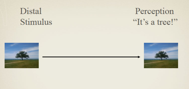 <p>Mind directly aware of real objects</p>