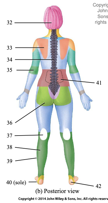 <p>What is #41</p>