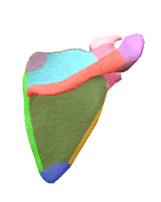 <p>highlighted portion</p>