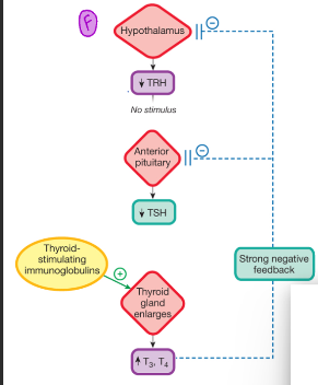 <p>this feedback loop is for __</p>