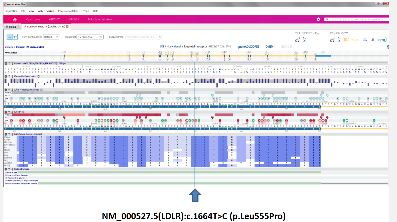 <p>See what is known about the variant and location</p><ul><li><p>compare the patient to data sets</p></li></ul><p></p><p>In this data: green = common variant + red = pathogenic</p>