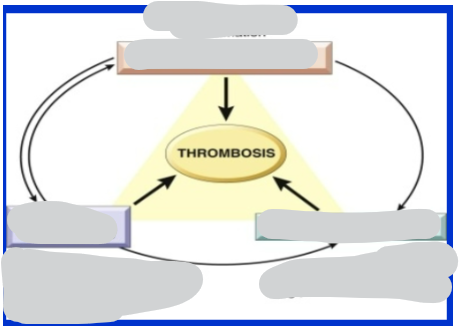 <p>Fill in Virchow’s triad for the causes of thrombosis</p>