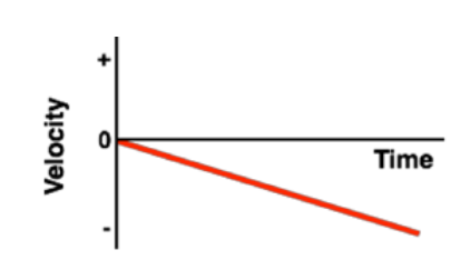 <p>This graph tells us that the object’s velocity and time in a uniformly accelerated motion is _________</p>