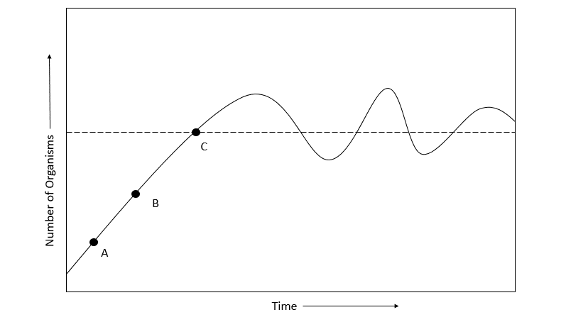 <p><span style="background-color: transparent;">The graph illustrates a population growth chart for a population of whitetail deer in a given area. A pack of wolves is released into the same area. Where on the graph is the carrying capacity reached?</span></p>
