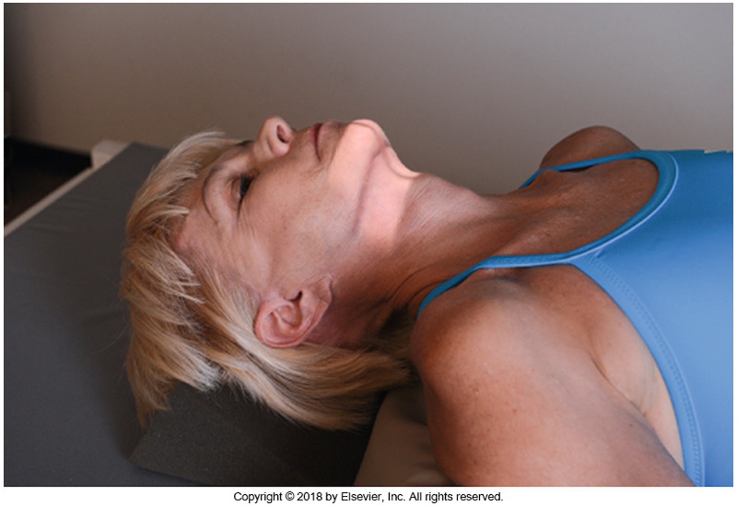 <p>- What is the exam?</p><p>- What is the method?</p><p>- What is this view used to see?</p><p>- What is the SID?</p><p>- What is the patient's position?</p><p>- Elevate the chin to bring what near perpendicular to the tabletop?</p><p>- Where is the CR directed?</p><p>- What is the field size?</p><p>- What are the breathing instructions?</p>