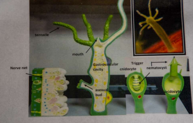 <p>Remeber to study this :)</p>