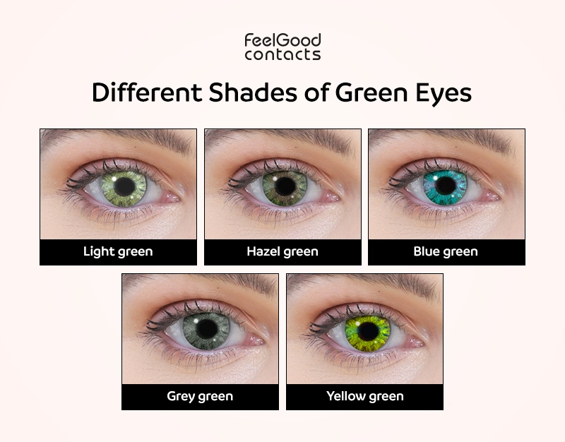 <p>les yeux verts</p>