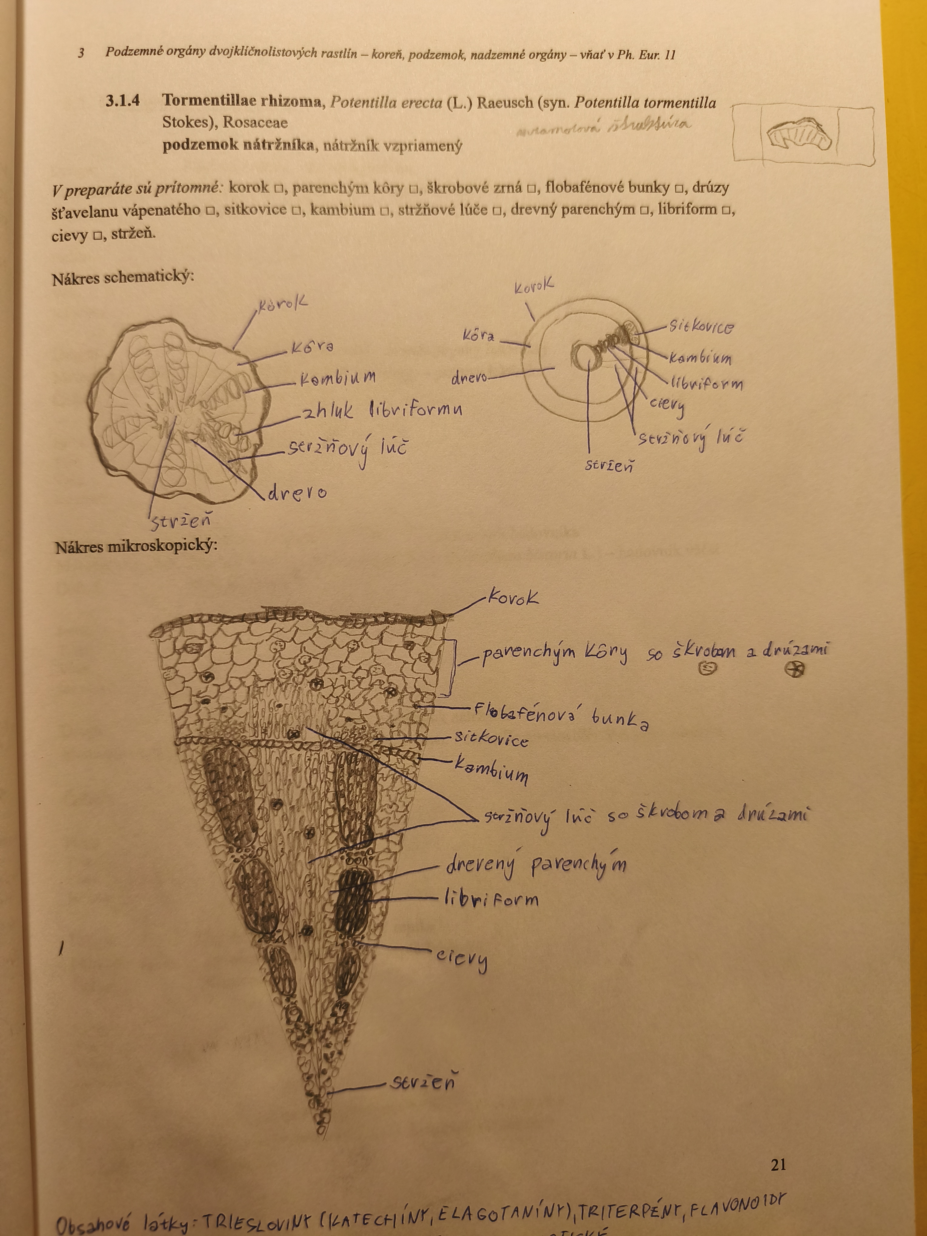 knowt flashcard image