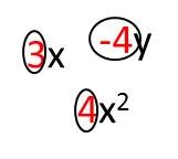 <p>The number in front of the variable in a term</p>
