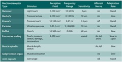 <p>Sensing mechanical stress, pressure changes, and body position.</p>