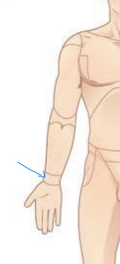 term image