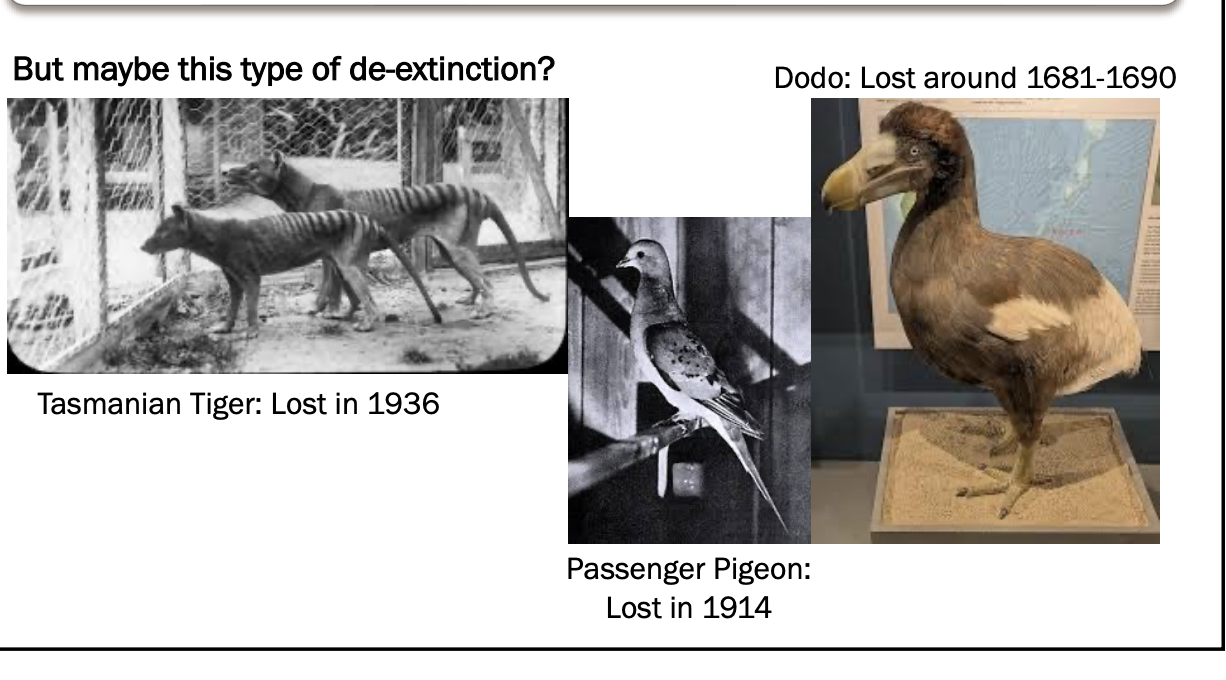 <ul><li><p>using advanced technologies, such as nuclear somatic cell transfer, to ‘bring species back’ from extinction</p></li><li><p><span style="background-color: inherit; line-height: 19.55px; color: windowtext;">Using nucleate cell transfer to bring species back from extinction </span><span style="line-height: 19.55px; color: windowtext;"> </span></p><ul><li><p class="Paragraph SCXO209450006 BCX0" style="text-align: left;"><span style="background-color: inherit; line-height: 19.55px; color: windowtext;">Use technology by using already existing species?</span></p><ul><li><p class="Paragraph SCXO209450006 BCX0" style="text-align: left;">usually species with small numbers and EW</p></li></ul></li><li><p class="Paragraph SCXO209450006 BCX0" style="text-align: left;">species lost in industrial revolution and European colonization</p></li></ul></li></ul><p></p>