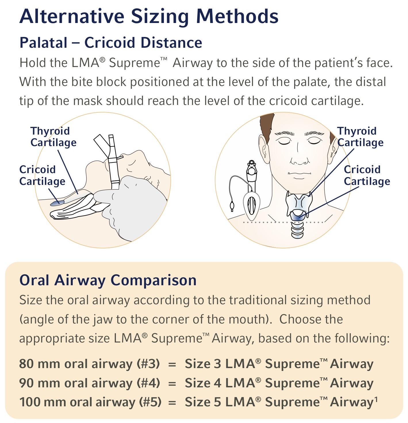 <ul><li><p>palatal-crocoid distance</p></li><li><p>oral airway comparison </p></li></ul><p></p>
