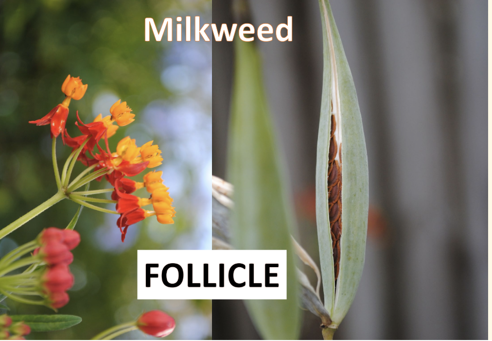 <p>What is this?</p>