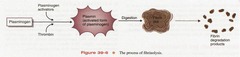 <p>Fibrinolysis.</p>