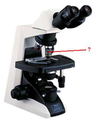 <p>identify the indicated part of the microscope</p>