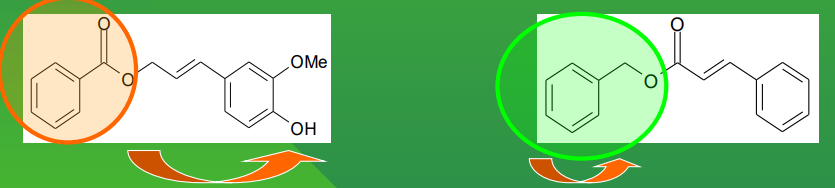 <ul><li><p>Qual é a composição dos bálsamos ?</p></li><li><p>para que são utilizados ?</p></li></ul><p></p>