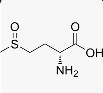 <p>What is this amino acid?</p>