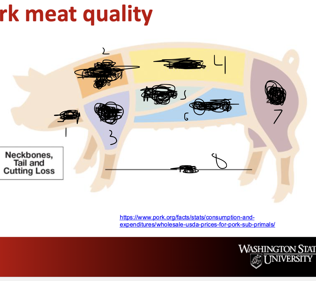 <p>Label 1 and 2 With Body Percentage</p>