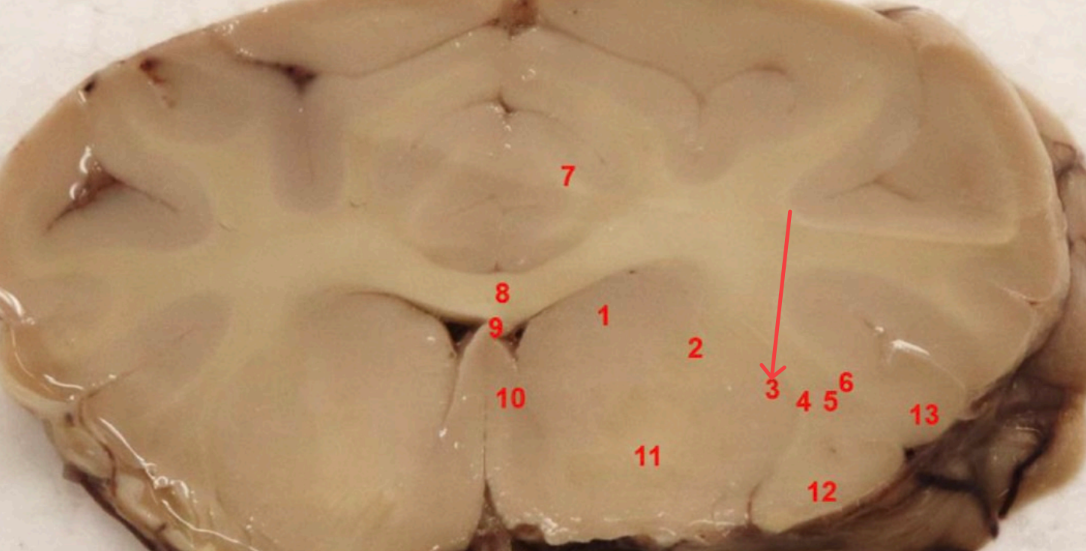 <p>What area is this </p>