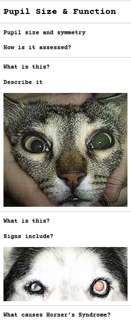 <p>.</p>
