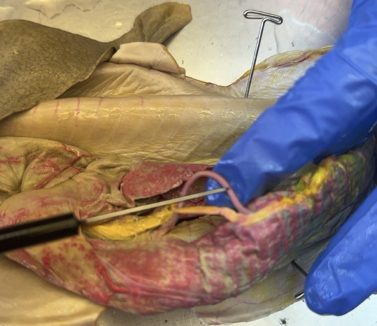 <p>what is this?</p>