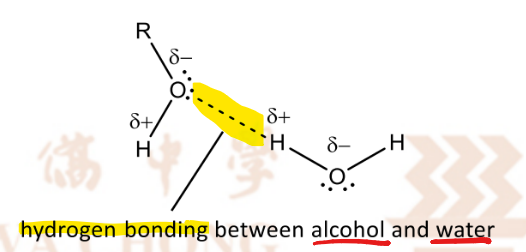 <ul><li><p>more energy released from <mark data-color="yellow" style="background-color: yellow; color: inherit;">stronger hydrogen bonding formed between alcohol molecules</mark> and water molecules</p></li><li><p>is more able to overcome </p></li></ul><p>the dispersion forces and intermolecular hydrogen bonding between alcohol molecules + <br>the hydrogen bonding between water molecules</p><p></p>