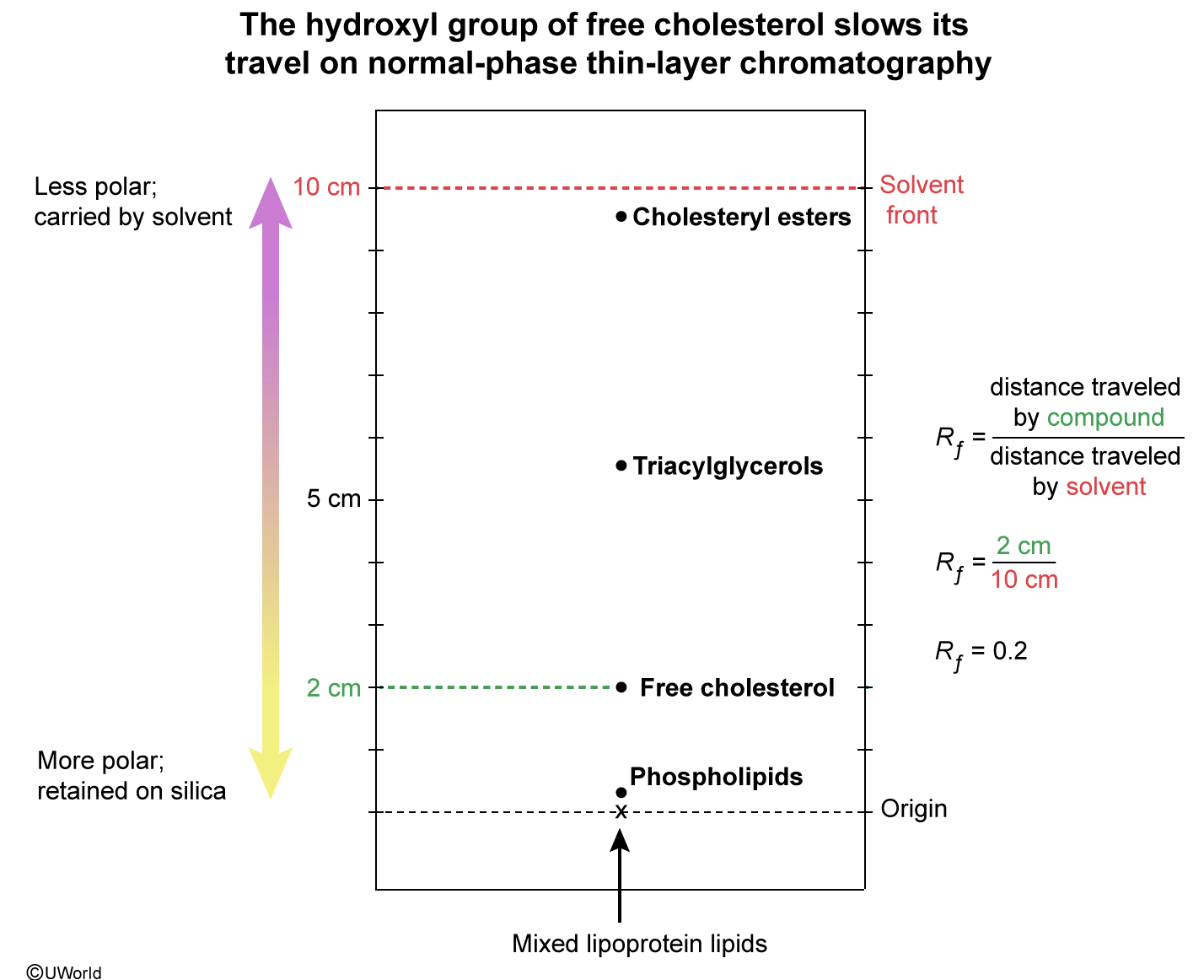 <p>separates molecules based on polarity.&nbsp; </p><p>Rf = distance compound/distance solvent</p><p>sationary = polar ex silica</p><p>mobile phase = mostly nonpolar ex hexanes, ethyl acetate</p>