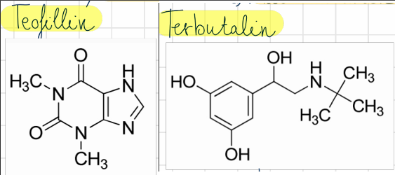<p>teofillin (Theospirex) <br>terbutalin (Bricanyl)</p>