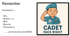 <p>• ↑ CO₂ (hypercapnia)</p><p>• ↑ Temperature (fever, exercise)</p><p>• ↓ pH (acidosis → Bohr Effect)</p><p>• ↑ 2,3-BPG (from hypoxia or anemia)</p><p>CADET</p>