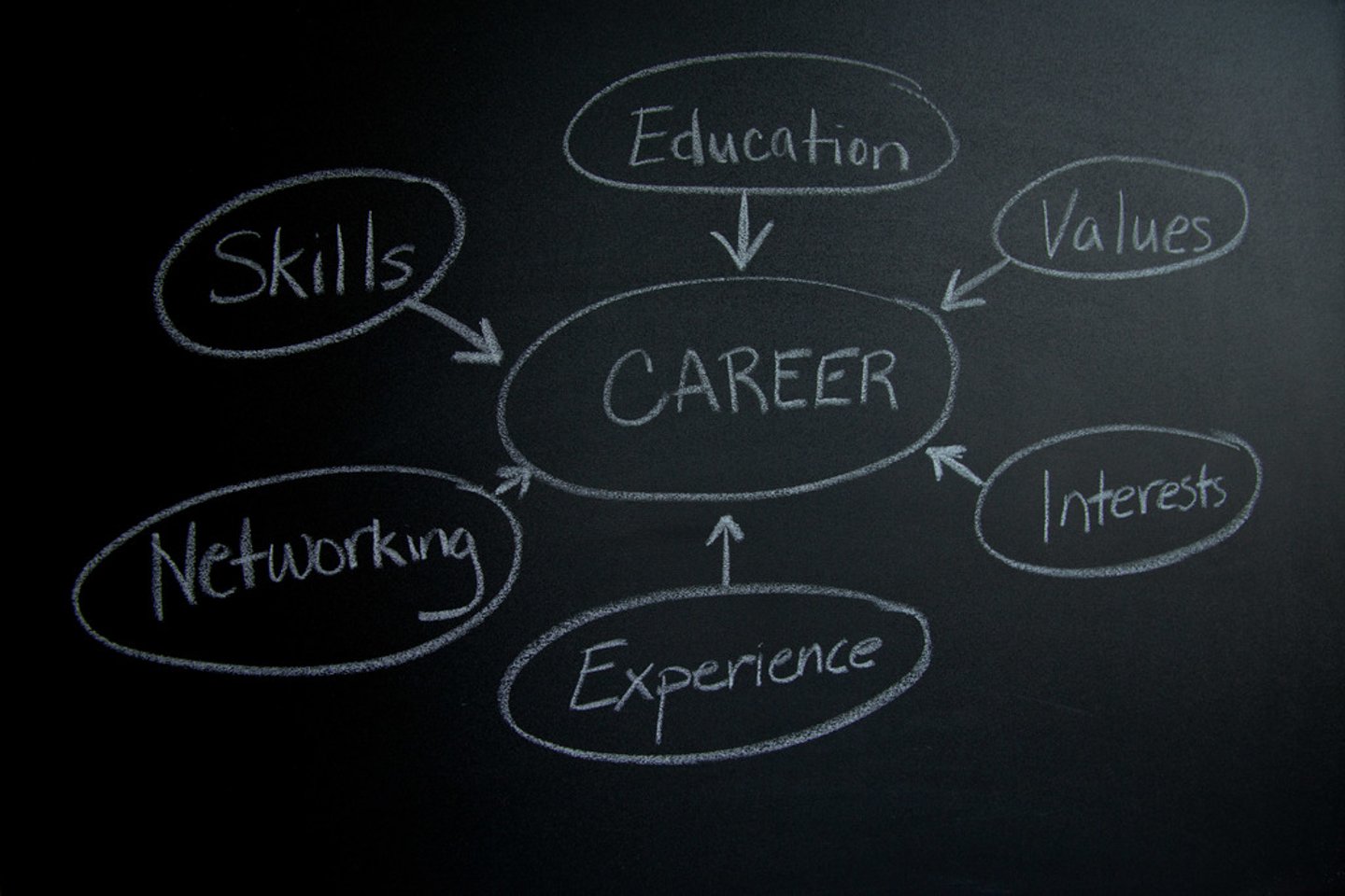<p>career - /kəˈrɪə(r)/ [c]</p>