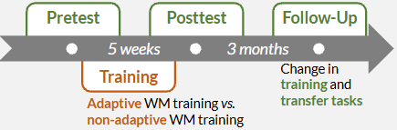 <ul><li><p>performed an RCT using a larger sample (N = 53)</p></li><li><p>training procedure was either adaptive WM training (experimental; difficulty adapts to individual capacity) or non-adaptive WM training (control; stays at same difficulty level)</p></li><li><p>measured both training + transfer tasks at 3 months follow-up as well as a post test → allows to assess whether improvements are sustained</p></li></ul><p></p>