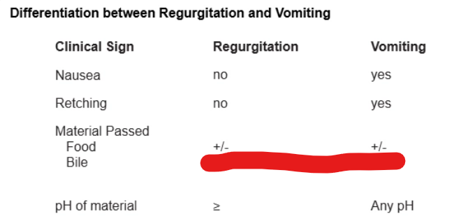 <p>answer (Megaesophagus)</p>