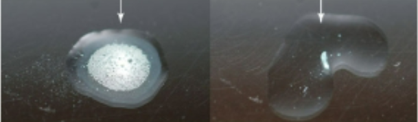 <p>TSA Catalase reagents?</p>