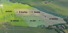 <p>A soil conservation method in which the type of crop grown in a field is alternated from one season or year to the next.</p>