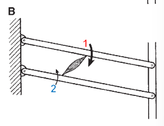 <p>Describe what happens in this scenario regarding movement. What is this modelling?</p>