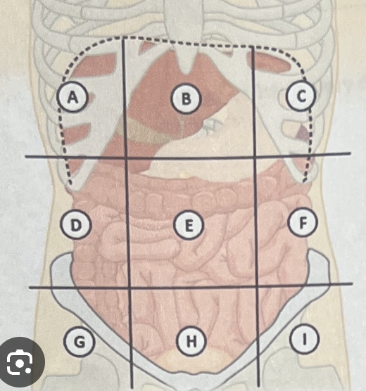 <p>What is G?</p>