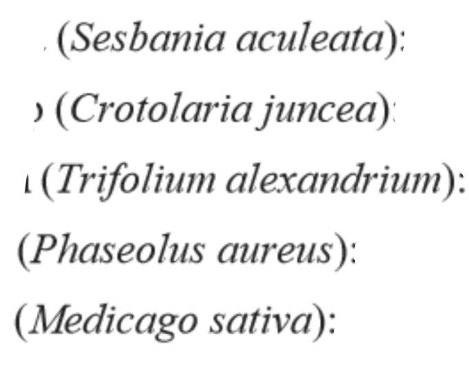 <p>SCIENTIFIC NAMES</p>
