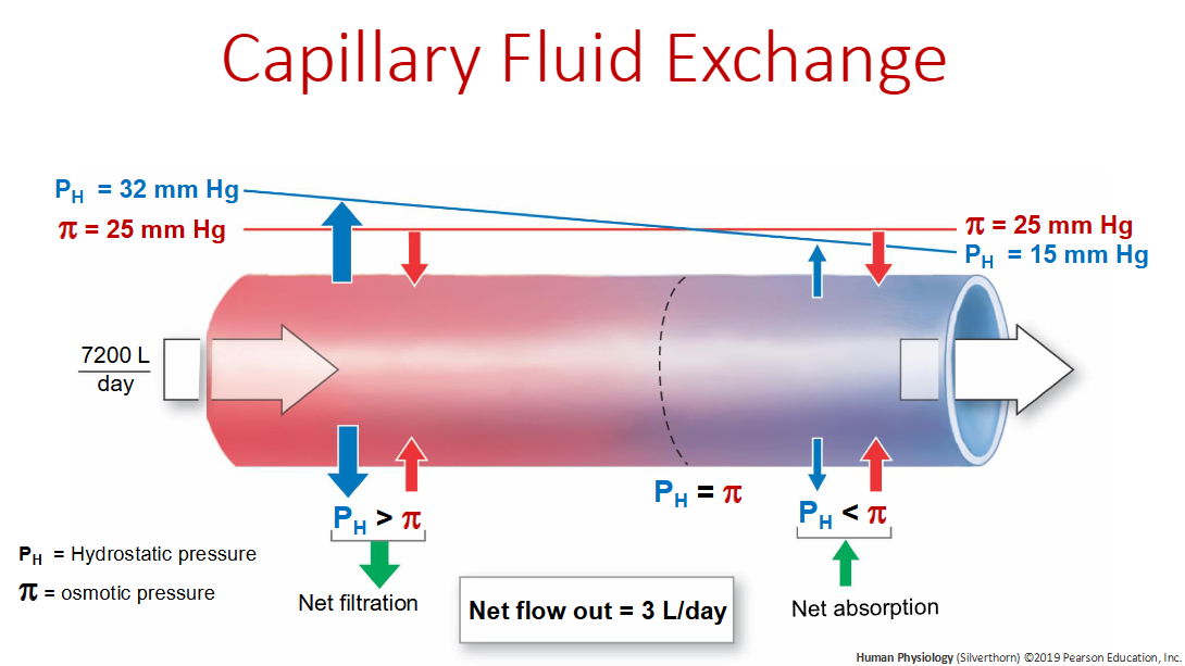 <p>Pnet = Ph - pi</p>