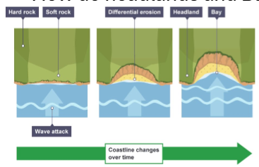 <ol><li><p>Waves erode a <u>discordant</u> coastline by <u>HA</u> and <u>AB</u></p></li><li><p>Soft rock is<u> less</u> resistant, so it erodes quickly to form bays</p></li><li><p>Hard rock is more resistant, remaining <u>headlands</u></p></li><li><p>Waves become shallower approaching a headland, making waves steeper and more <u>destructive</u>, <u>increasing</u> erosion</p></li><li><p>Waves <u>lose energy</u> where the water is deeper into a bay</p></li><li><p><u>Differential erosion</u> creates a coastline with alternating headlands and bays</p></li></ol><p></p>