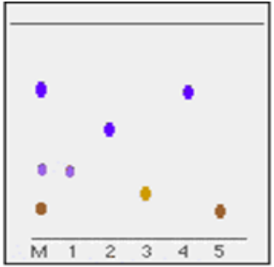 <p>Used for samples that are not colored to the naked eye (eg. amino acids).</p><ol><li><p>The same as paper chromatography except instead of paper, it uses a thin layer of silica or alumina (typically, since these are extremely polar) on a sheet of plastic.</p></li><li><p>Use a solvent that flouresces under UV light.</p></li></ol><p>Typically, nonpolar samples travel farther than polar samples. Sample is identified by comparing R<sub>f</sub> values.</p>